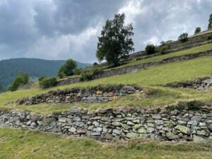 Beiträge für die Renovation von Trockenmauern