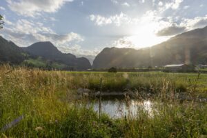 Biodiversitätsstrategie zeigt Wirkung im ganzen Kanton